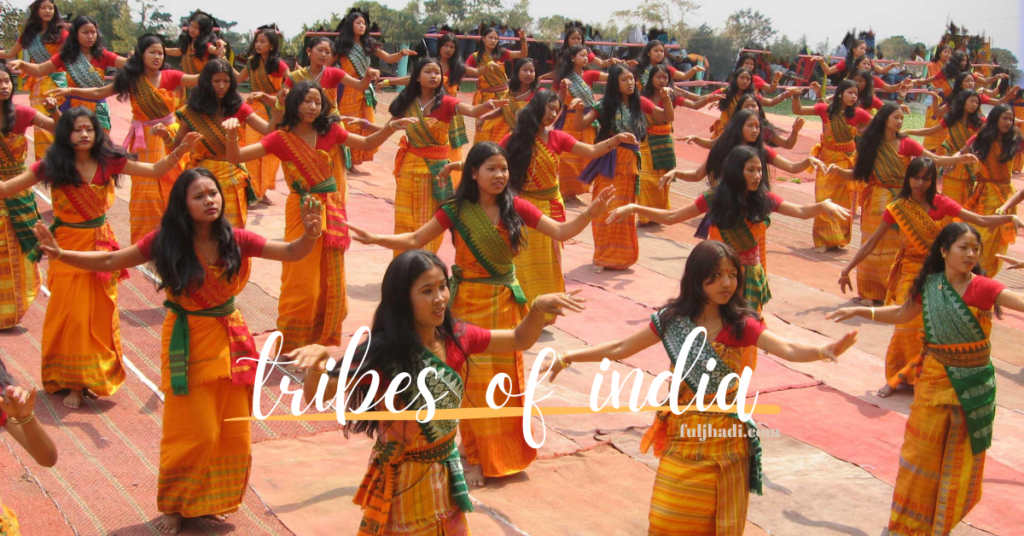Tribes of India - Bodo girls performing Bagurumba Dance